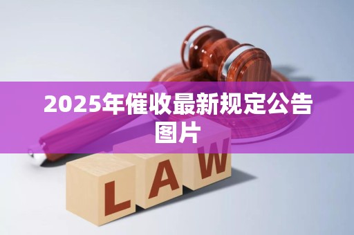 2025年催收最新规定公告图片