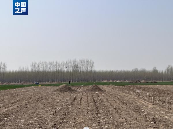 河北多地“散埋乱葬”问题突出，如何治理？