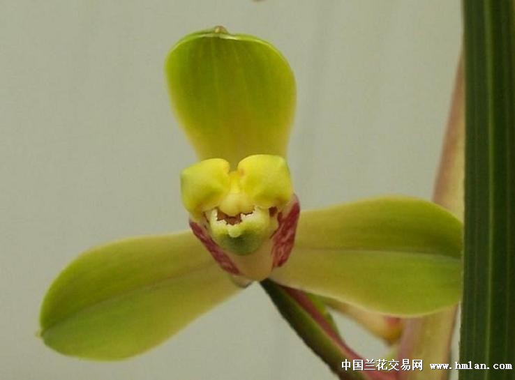 点击图片在新窗口浏览原图