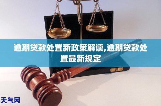 逾期贷款处置新政策解读,逾期贷款处置最新规定