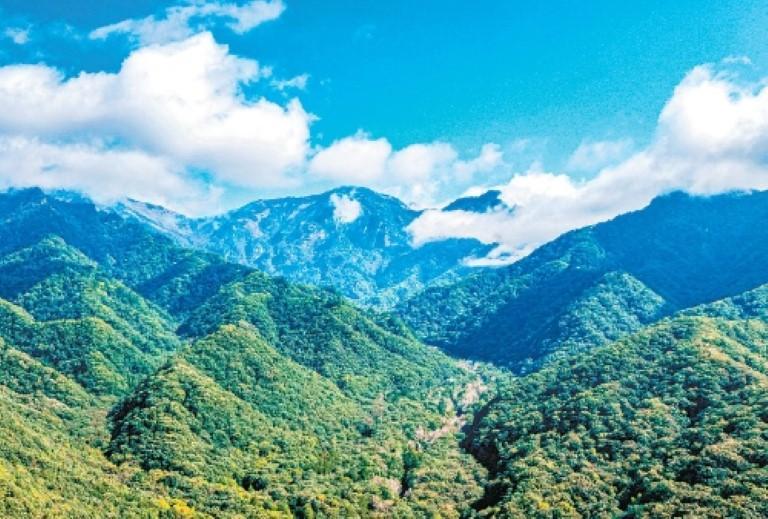 巍巍秦岭满目葱茏。（记者　王健　实习生　付子涵　摄）