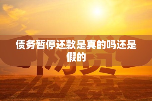 债务暂停还款是真的吗还是假的