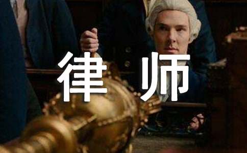 律师个人业务工作总结（精选17篇）