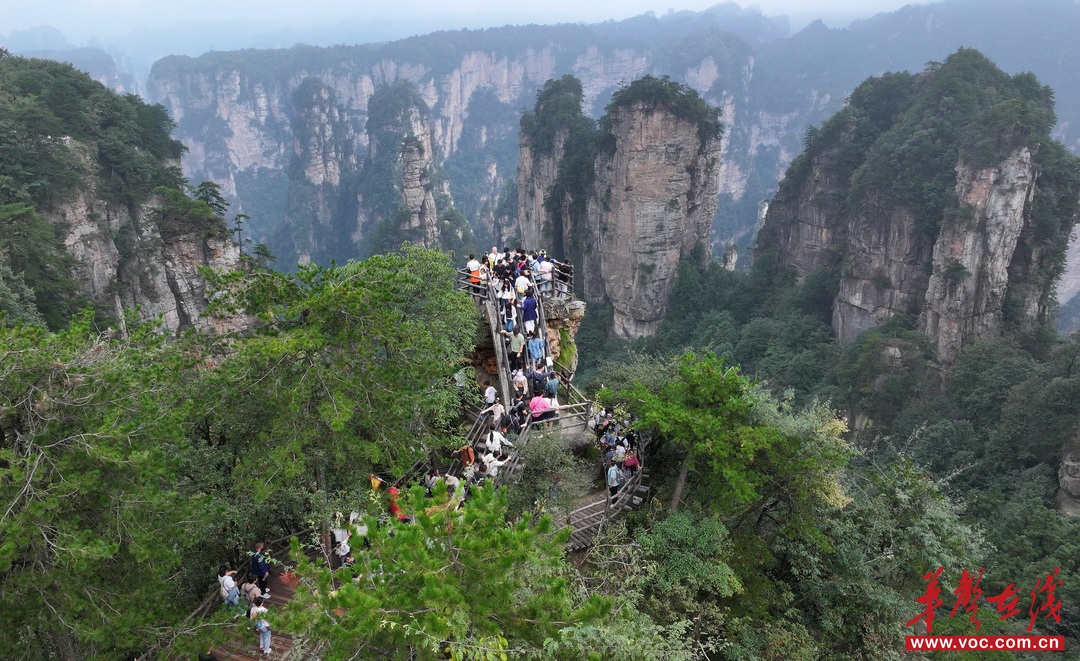 游客在张家界国家森林公园黄石寨景区游览。 吴勇兵 摄