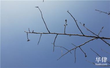 2024申请破产清算的主体是谁,法律规定谁负有清算责任