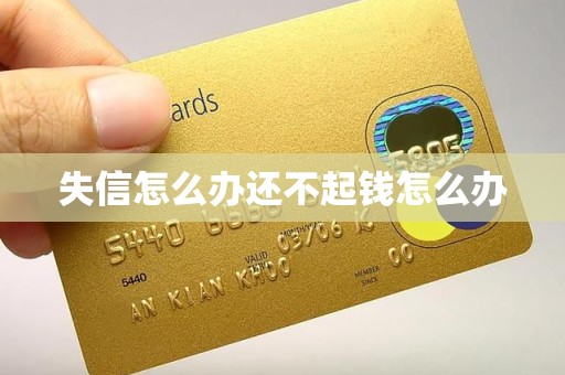 失信怎么办还不起钱怎么办