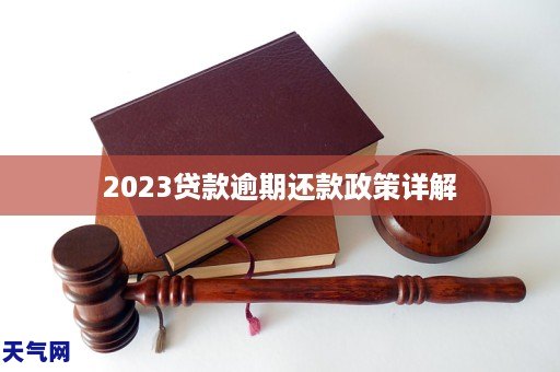 2023贷款逾期还款政策详解