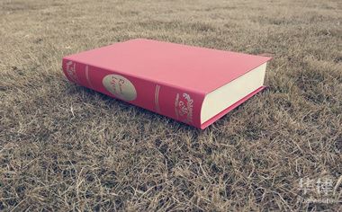 清偿债权和清偿债务的区别