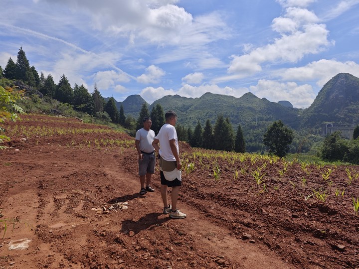 实地核实荒地情况。