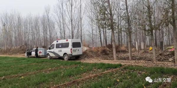 荒唐！无证、脱保、未年审 为躲交警钻坟地