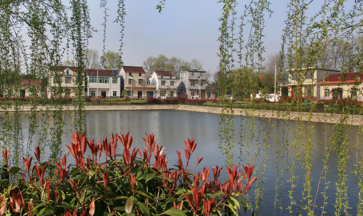 桐城美景。桐城市委宣传部供图