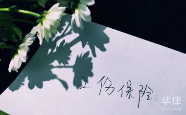 2024最新工伤保险条例全文有哪些