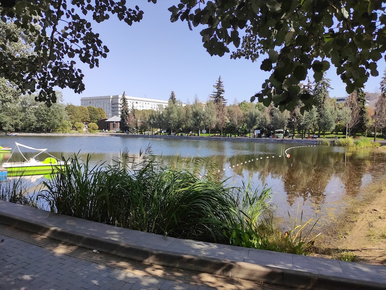 Пионерский пруд