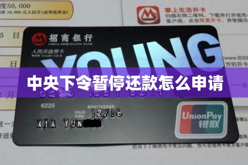 中央下令暂停还款怎么申请