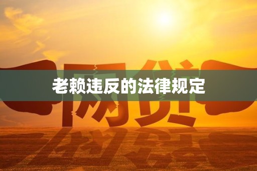 老赖违反的法律规定