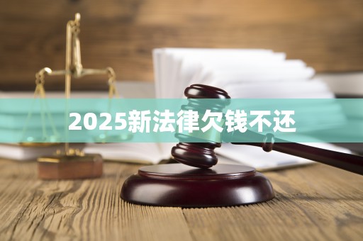 2025新法律欠钱不还