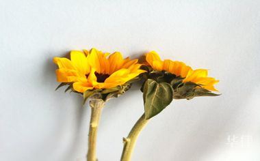 公民的非法权利都有哪些