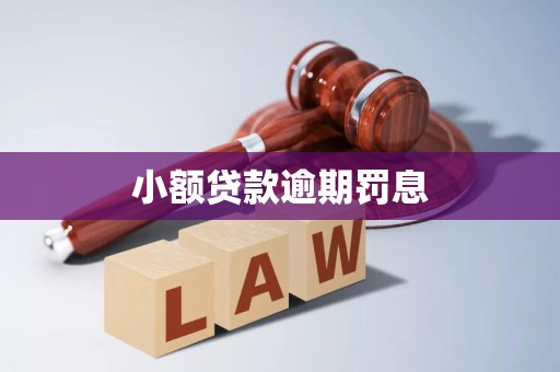 小额贷款逾期罚息