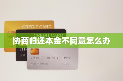 协商归还本金不同意怎么办