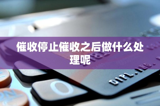 催收停止催收之后做什么处理呢