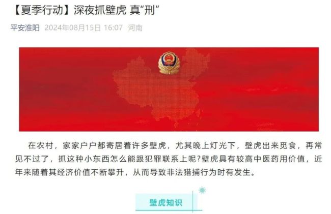 捉壁虎1只以上就属于违法 保护野生动物，法律红线勿碰