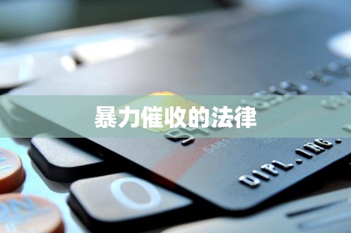 暴力催收的法律