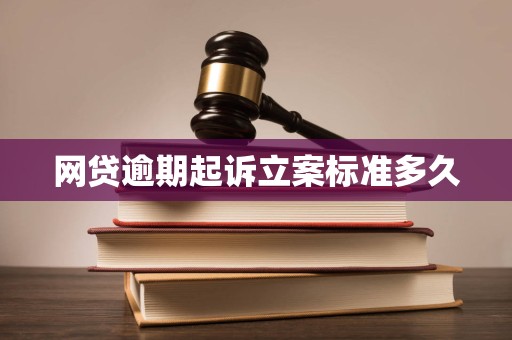 网贷逾期起诉立案标准多久