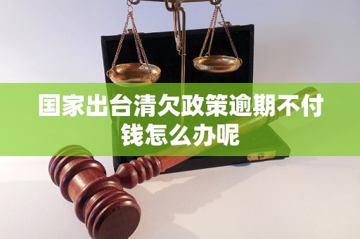 国家出台清欠政策逾期不付钱怎么办呢