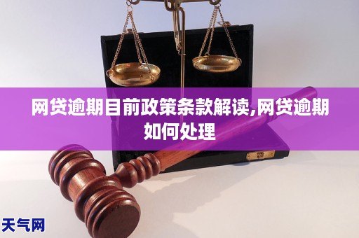 网贷逾期目前政策条款解读,网贷逾期如何处理