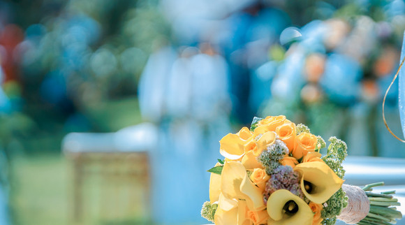 打了官司不赡养老人的法律后果