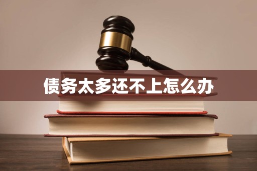 债务太多还不上怎么办