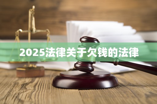 2025法律关于欠钱的法律