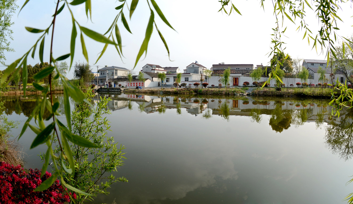 桐城美景。桐城市委宣传部供图