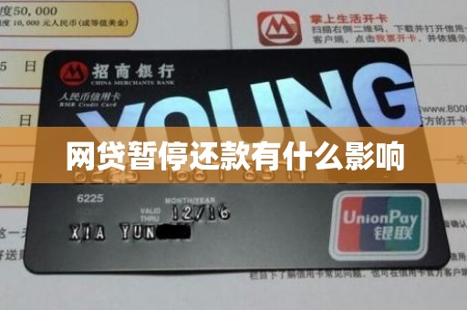 网贷暂停还款有什么影响