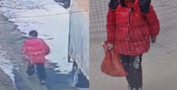 12岁男孩不满上交压岁钱离家出走 百名警力带警犬和无人机找了俩小时