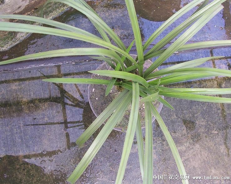 点击图片在新窗口浏览原图