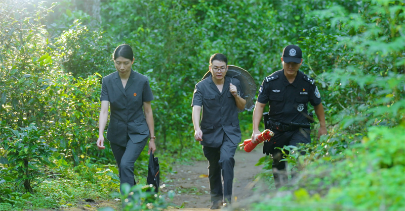 澜沧县人民法院法官深入景迈山开展巡回审判。马丽莉摄