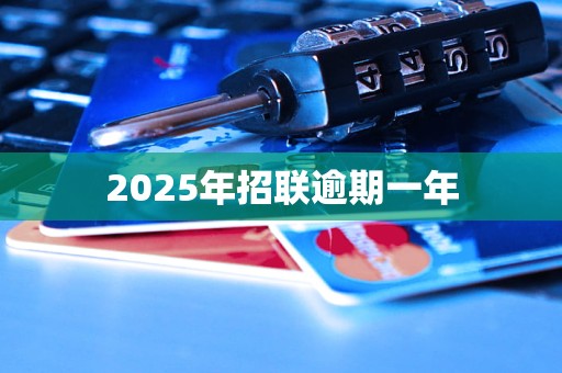2025年招联逾期一年