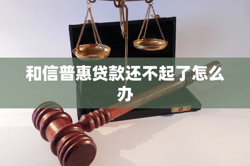和信普惠贷款还不起了怎么办