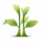 玥儿工具箱历史版本