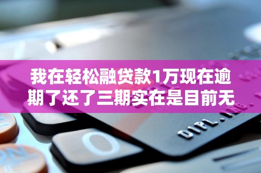 我在轻松融贷款1万现在逾期了还了三期实在是目前无力偿还了这个会怎么办