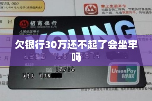 欠银行30万还不起了会坐牢吗
