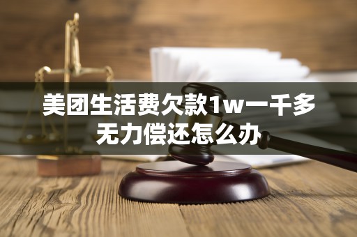 美团生活费欠款1w一千多无力偿还怎么办