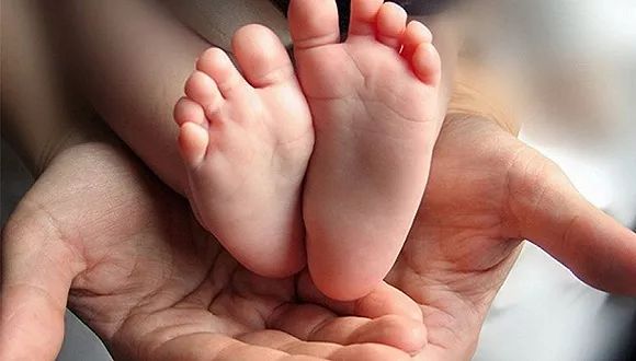 你好！代表（视频）