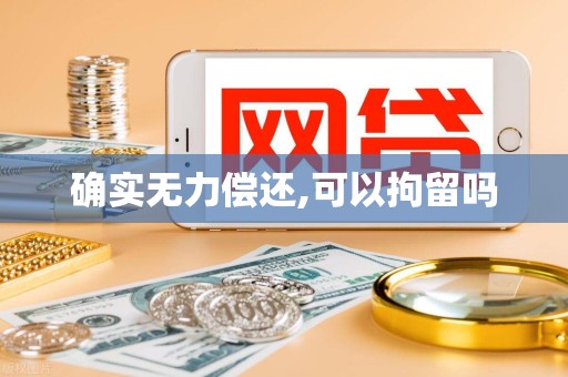 确实无力偿还,可以拘留吗