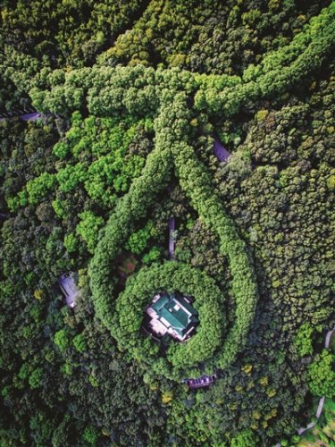 “美龄宫项链” 刷爆朋友圈:并非“蒋公的礼物”1