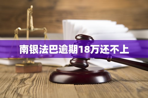 南银法巴逾期18万还不上