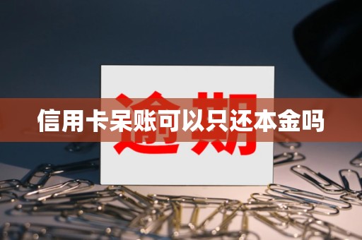 信用卡呆账可以只还本金吗