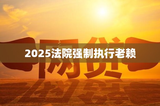 2025法院强制执行老赖