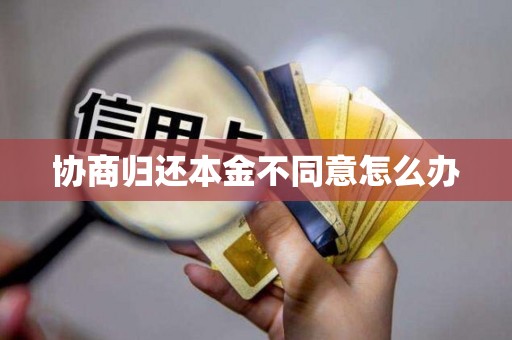 协商归还本金不同意怎么办